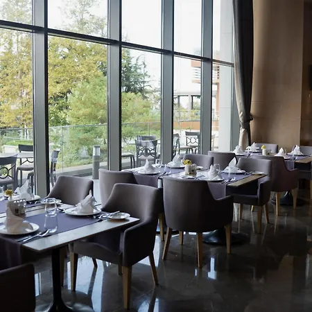 Radisson Blu Otel